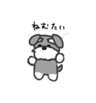 シュナウザースタンプ！（個別スタンプ：3）
