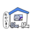 灰色キャットとうさぎちゃん2（個別スタンプ：12）