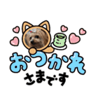 ココアの毎日2025（個別スタンプ：3）