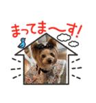 ココアの毎日2025（個別スタンプ：9）