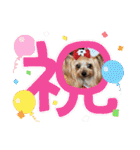 ココアの毎日2025（個別スタンプ：13）