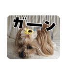 ココアの毎日2025（個別スタンプ：21）