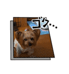 ココアの毎日2025（個別スタンプ：22）