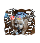 ココアの毎日2025（個別スタンプ：26）