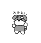シュナウザースタンプ！！（個別スタンプ：3）