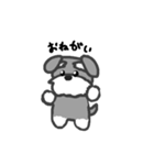 シュナウザースタンプ！！（個別スタンプ：15）