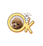 みゆき2025（個別スタンプ：3）