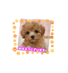 みゆき2025（個別スタンプ：5）