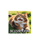 にゃんこリアクション（個別スタンプ：1）