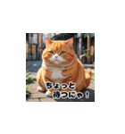 にゃんこリアクション（個別スタンプ：3）