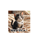 にゃんこリアクション（個別スタンプ：9）