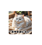 にゃんこリアクション（個別スタンプ：13）