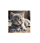 にゃんこリアクション（個別スタンプ：15）