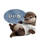 カワウソ(日常)（個別スタンプ：17）