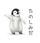 毎日使える可愛いペンギンの子（個別スタンプ：3）