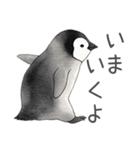 毎日使える可愛いペンギンの子（個別スタンプ：6）