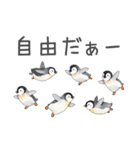 毎日使える可愛いペンギンの子（個別スタンプ：9）