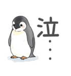 毎日使える可愛いペンギンの子（個別スタンプ：13）