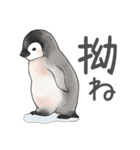 毎日使える可愛いペンギンの子（個別スタンプ：15）