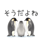 毎日使える可愛いペンギンの子（個別スタンプ：18）