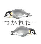 毎日使える可愛いペンギンの子（個別スタンプ：23）