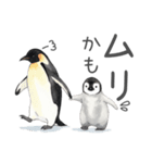 毎日使える可愛いペンギンの子（個別スタンプ：28）