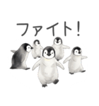 毎日使える可愛いペンギンの子（個別スタンプ：29）