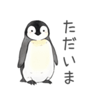 毎日使える可愛いペンギンの子（個別スタンプ：36）