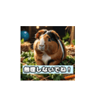 いやされアニマル（個別スタンプ：2）