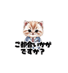 【敬語】お仕事する子猫のスタンプ（個別スタンプ：3）