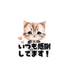 【敬語】お仕事する子猫のスタンプ（個別スタンプ：9）