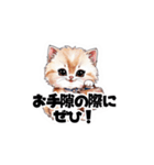 【敬語】お仕事する子猫のスタンプ（個別スタンプ：10）