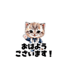 【敬語】お仕事する子猫のスタンプ（個別スタンプ：11）