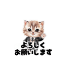 【敬語】お仕事する子猫のスタンプ（個別スタンプ：14）