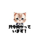【敬語】お仕事する子猫のスタンプ（個別スタンプ：16）