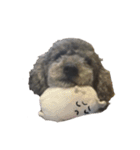 犬100%（個別スタンプ：2）