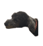 犬100%（個別スタンプ：8）