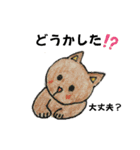 のんびりやのねこさん（個別スタンプ：1）