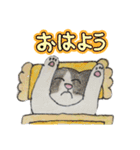 のんびりやのねこさん（個別スタンプ：2）