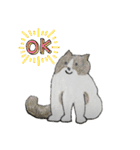 のんびりやのねこさん（個別スタンプ：16）