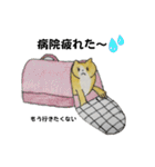 のんびりやのねこさん（個別スタンプ：30）