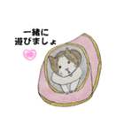 のんびりやのねこさん（個別スタンプ：31）