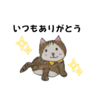のんびりやのねこさん（個別スタンプ：35）
