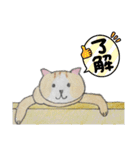 のんびりやのねこさん（個別スタンプ：39）