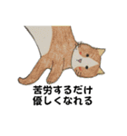 のんびりやのねこさん（個別スタンプ：40）