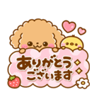 春に役立つ♡トイプードル（個別スタンプ：20）