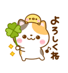 ねこねこにゃんこ♡春日和（個別スタンプ：8）