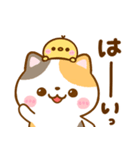 ねこねこにゃんこ♡春日和（個別スタンプ：13）