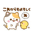 ねこねこにゃんこ♡春日和（個別スタンプ：16）