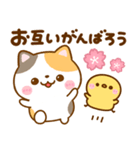 ねこねこにゃんこ♡春日和（個別スタンプ：17）